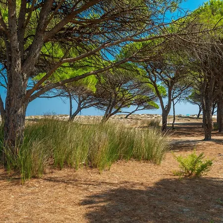 Διαμέρισμα Simple Gem Of Le Dimore Di 1 Bedroom B4 Sleeps 4